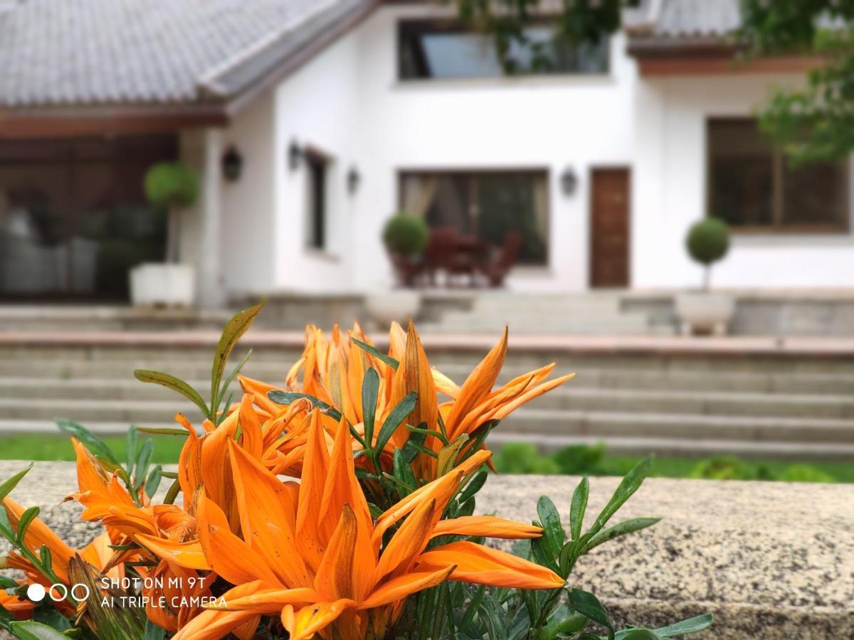 Villa Blanca Con Piscina A 15 Minutos De Toledo - Apartamentos Aloha Toledo Olías del Rey Екстериор снимка